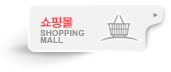 쇼핑몰 홈페이지 제작